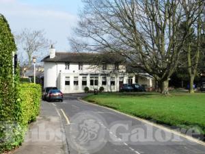 Picture of The Vine Tavern