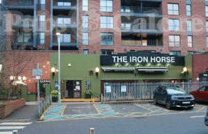 Picture of The Iron Horse