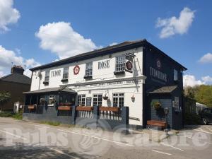 Picture of Tudor Rose