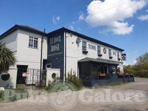 Picture of Tudor Rose