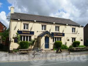 Picture of The Bay Horse