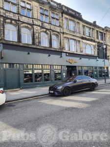 Picture of Bee's Knees