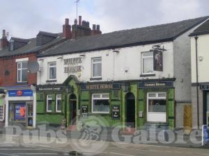 Picture of The White Horse