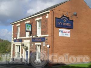Picture of Ivy Hotel