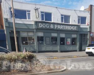 Picture of Dog & Partridge