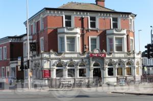 Picture of The Hop