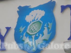 Picture of The Jaggy Thistle