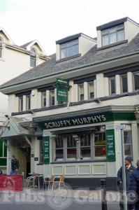 Picture of Scruffy Murphys