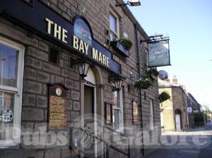 Picture of Bay Mare