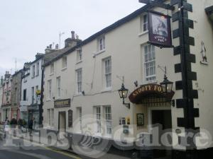 Picture of The Snooty Fox