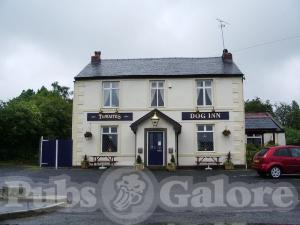 Picture of Dog Inn