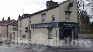 Picture of Brown Cow