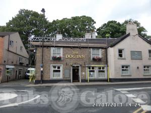 Picture of The Dog Inn