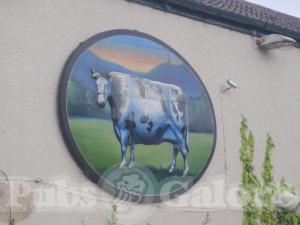 Picture of The Craven Heifer