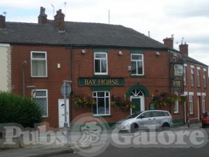 Picture of Bay Horse
