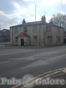 Picture of White Lion