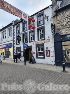 Picture of Brown Cow