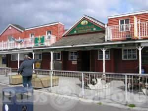 Picture of Ranch House