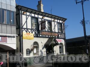 Picture of Golden Lion