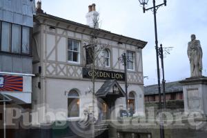 Picture of Golden Lion