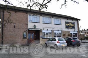 Picture of The Yew Tree