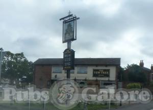 Picture of The Yew Tree