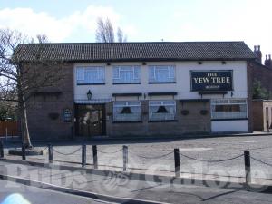 Picture of The Yew Tree