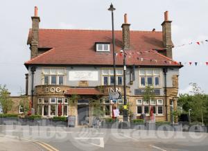 Picture of The Dog Inn