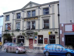 Picture of The Old Dog Inn