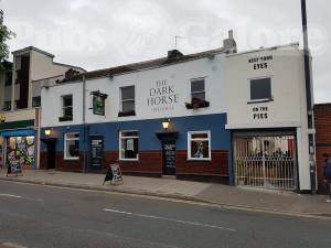 Picture of The Dark Horse