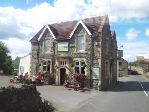 Picture of The Elm Tree