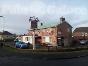 Picture of The Giant Goram