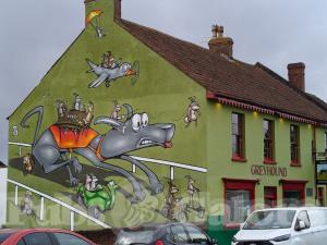 Picture of Greyhound