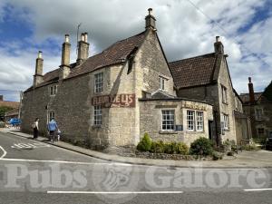 Picture of The Fleur De Lys