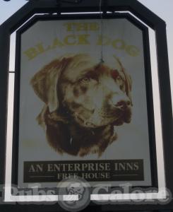 Picture of Black Dog
