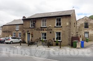 Picture of White Lion