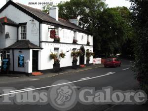 Picture of Bay Horse