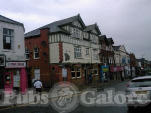 Picture of Golden Lion