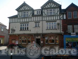 Picture of Golden Lion