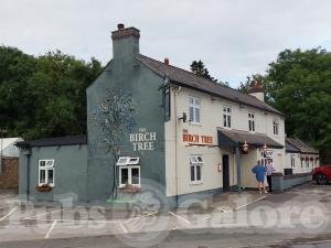 Picture of The Birch Tree