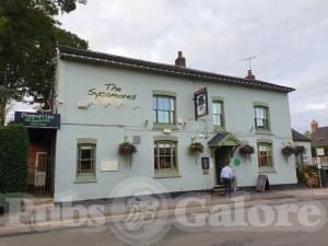 Picture of The Sycamores Inn