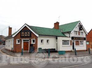 Picture of Black Horse