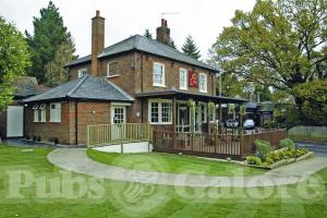 Picture of The Lion of Beaconsfield
