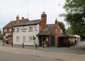 Picture of The Cherry Tree
