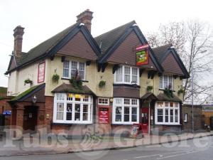Picture of The Bull
