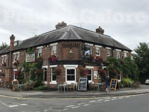 Picture of The Marlow Donkey