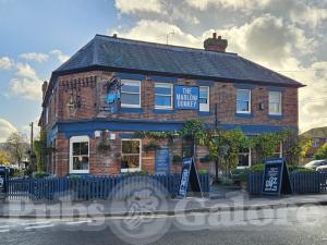 Picture of The Marlow Donkey