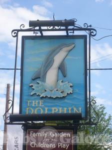 Picture of The Dolphin