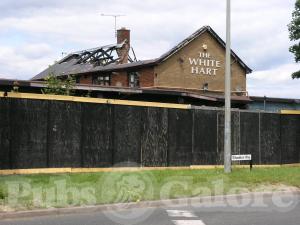 Picture of The White Hart