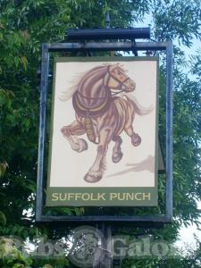 Picture of Suffolk Punch